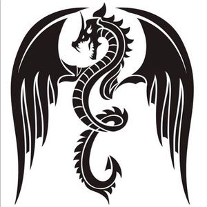 Meet your Posher, Tj